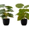 13" Tall, Artificial Plant, Epipremnum, Indoor, Faux, Fake, Table, Greenery, Potted, Decorative (Set of 2) - Green / Black - Image 6