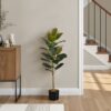 Artificial Plant, 40" Tall, Rubber Tree, Indoor, Faux, Fake, Floor, Greenery, Potted, Real Touch, Decorative - Green / Black - Image 5