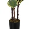 47" Tall, Artificial Plant, Oak Tree, Indoor, Faux, Fake, Floor, Greenery, Potted, Real Touch, Decorative - Green / Black - Image 2