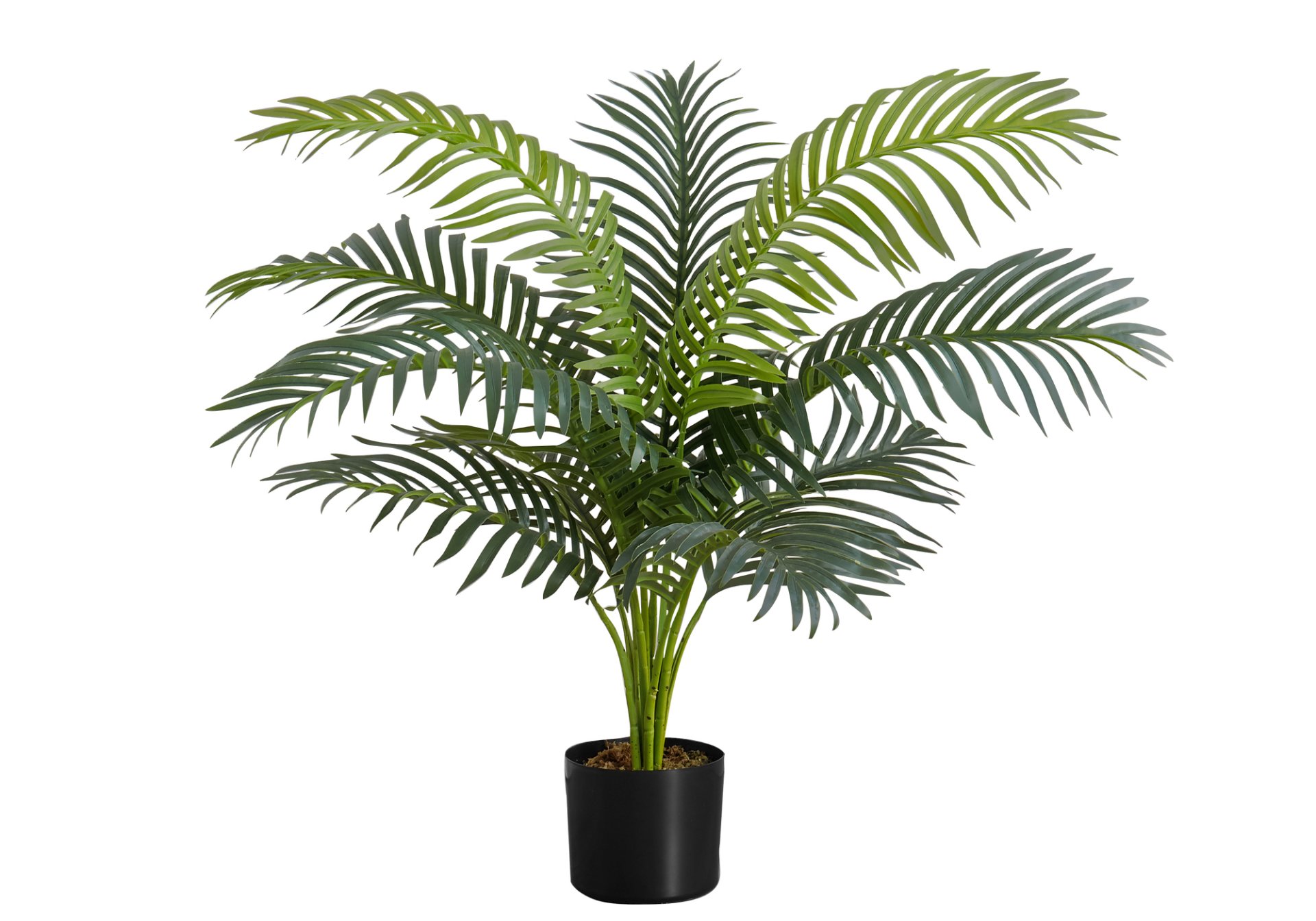 34" Tall, Artificial Plant, Palm Tree, Indoor, Faux, Fake, Floor, Greenery, Potted, Real Touch, Decorative - Green / Black - Image 2