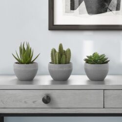 6" Tall, Artificial Plant, Succulent, Indoor, Faux, Fake, Table, Greenery, Potted, Decorative (Set of 3) - Green / Gray