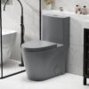 1 Piece Tornado Flush Toilet With Soft Close Seat And Dual Flush Siphonic S Trap - Light Gray - Image 4
