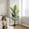 59" Tall, Artificial Plant, Strelitzia Tree, Indoor, Faux, Fake, Floor, Greenery, Potted, Real Touch, Decorative - Green / Black - Image 5