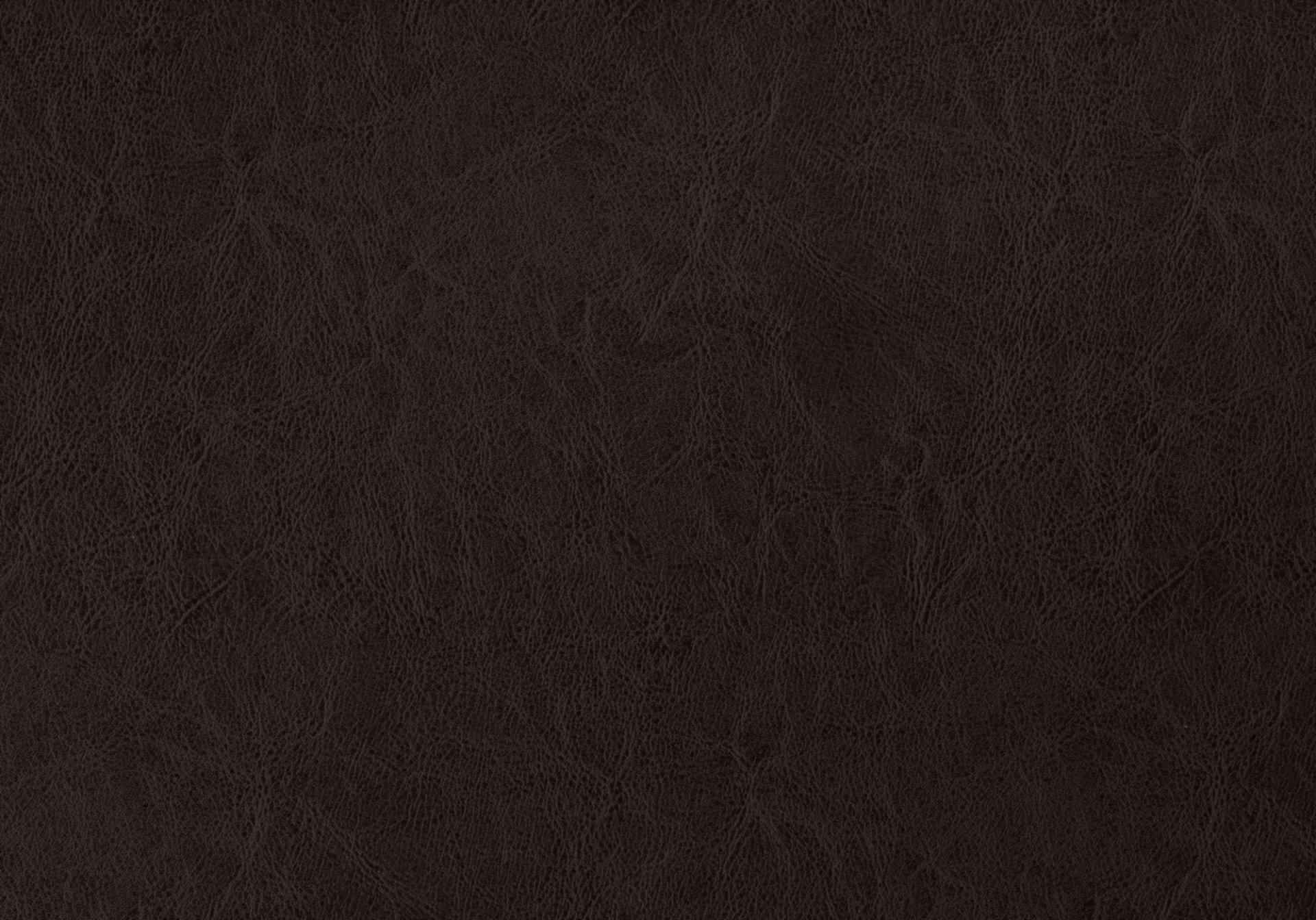 Full Size, Bed Headboard Only, Upholstered, Transitional - Brown - Image 5