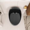 Egg Shape Toilet 1 Piece 1.28 Gpf Single Flush Ceramic - Black - Image 8