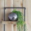 Wall Shelf With Two Shelves - Black Brown - Image 7