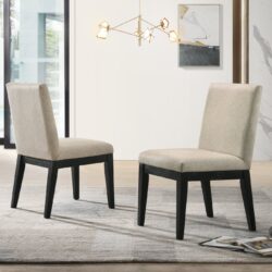 Jasper - Contemporary Fabric Dining Chair (Set of 2) - Beige