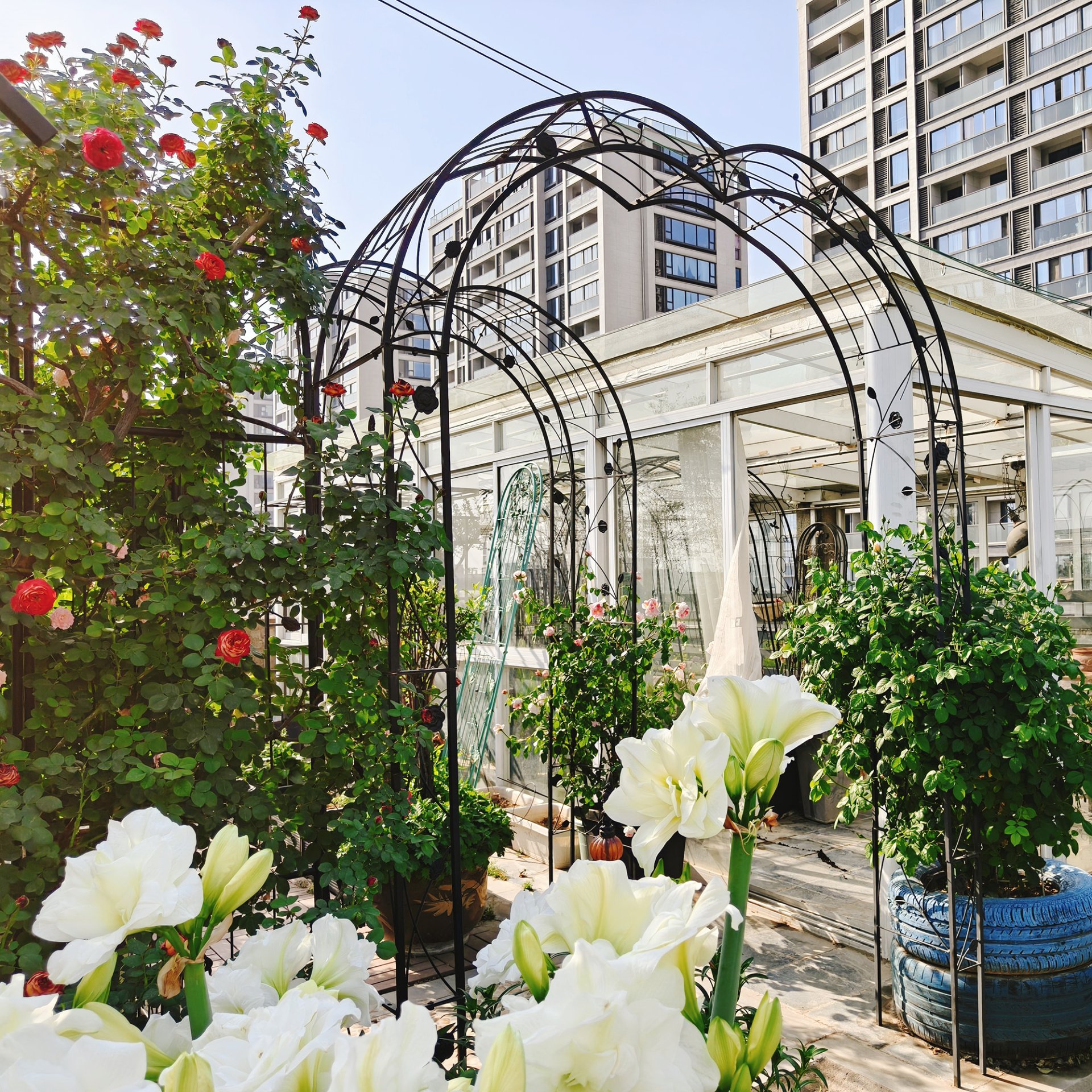 Metal Garden Arch Assemble Freely With 8 Styles Garden Arbor Trellis Climbing Plants Support Rose Arch - Black - Image 3