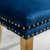 Nikki - Modern, High-End Tufted Solid Wood Contemporary Velvet Upholstered Dining Chair With Golden Stainless Steel Plating Legs, Nailhead Trim (Set of 2) - Blue / Gold - Image 12