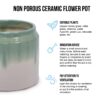 Gradient Flowerpot (Set of 2), Planter For Patio, Garden, Windowsill - White / Green - Image 5