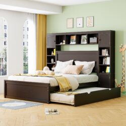 Queen Size Bed With All In One Cabinet, Shelf And Sockets, Twin Long Trundle - Espresso