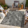 Sunshine - 5'3" X 7'3" Indoor & Outdoor Area Rug - Anthracite - Image 4