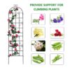 4 Pack Metal Garden Rustproof Trellis For Climbing Plants Outdoor Flower Support - Black - Image 8