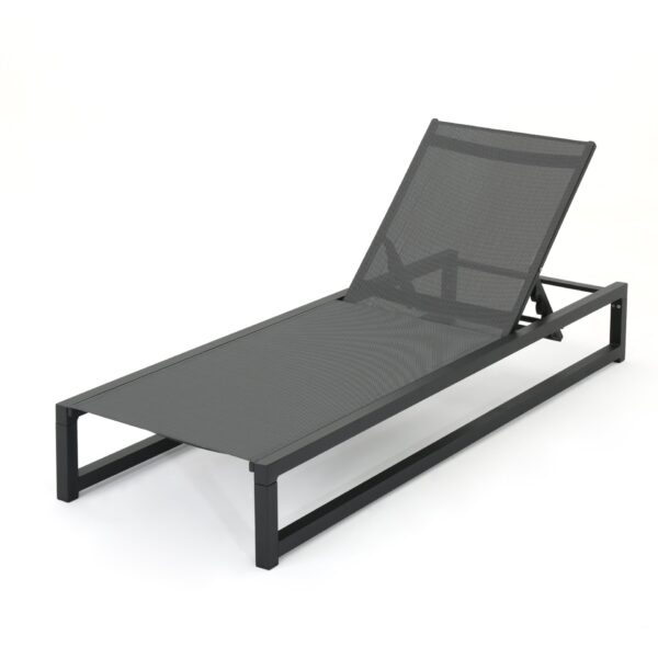 Chaise Lounge With 5 Reclining Positions, Outdoor Patio Lounge Chairs - Black / Gray