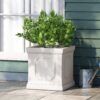 Durable Planter - Antique White - Image 4