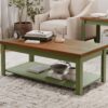 Vineyard - Coffee Table - Sage Green And Fruitwood - Image 5