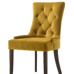 Farren - Velvet Side Chair (Set of 2) - Espresso / Yellow