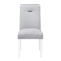 Ariya - Dining Chair (Set of 2) - Gray / White