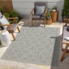 Sunshine - 5'3" X 7'3" Indoor & Outdoor Area Rug - Silver - Image 4