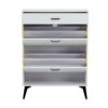 Shoe Cabinet, Shoe Storage Shelves, Metal Leg - White - Image 17