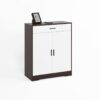 Freestanding Wooden Shoe Cabinet, 4 Tier Organizer With Drawer - White / Walnut - Image 21