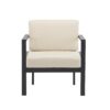 Modern Outdoor Lounge Chair With Aluminum Frame And Weather Resistant Cushions - Beige / Black - Image 6