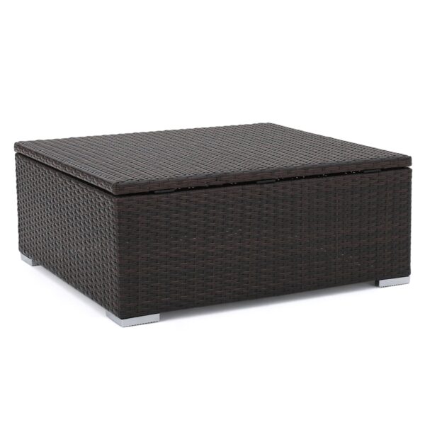 Santa Rosa - Storage Coffee Table - Brown Multi