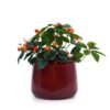 4 Pieces Planter Pot, Indoor Outdoor Flowerpot For Patio, Garden, Or Windowsills - Bean Paste Red - Image 6
