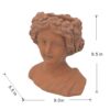 Head Bust Planter, Greek Style Cement Head Planter, Indoor Outdoor Home Garden Decor - Brown - Image 3
