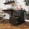 Premium Metal 2 Drawer File Cabinet With Lock For A4 Legal / Letter Size Documents, Steel - Black - Image 5