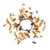 Fall Leaves Wreath, Botanicals Decor For Harvest Festival Fall Festival & Thanksgiving Table Decorations (Set of 12) - Orange Multi - Image 2