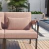 Rajni - Patio Set (2 Seats Chairs) - Black / Pink - Image 3