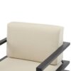 Modern Outdoor Lounge Chair With Aluminum Frame And Weather Resistant Cushions - Beige / Black - Image 12
