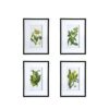 Botanical Flower Wall Art, Home Decor For Living Room Dining Room, Bedroom, Hallway (Set of 4) - White / Blue - Image 2