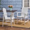 Outdoor Weather Resistant Acacia Wood Adirondack Dining Chairs Set (Set of 2) - White - Image 4