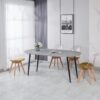 Extensible Table, Dining Table, Office Table, Coffee Table, Metal Leg - Gray - Image 9