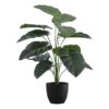 24" Tall, Artificial Plant, Alocasia, Indoor, Faux, Fake, Table, Greenery, Potted, Real Touch, Decorative - Green / Black - Image 2