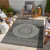 Sunshine - 2'7" X 7'3" Indoor, Outdoor, Area Rug - Anthracite - Polypropylene - Image 4