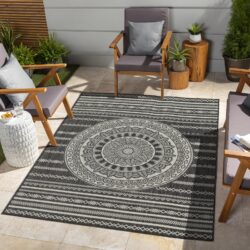 Sunshine - 7'10" X 10'3" Polypropylene Indoor, Outdoor, Area Rug - Anthracite
