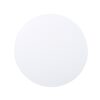 Contemporary Nevada Side Table With Mesh Design - Matte White - Image 8