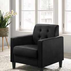 Hale - Velvet Accent Armchair With Tufting - Black