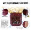 3 Pieces Ceramic Flowerpot, Planter For Patio & Garden Or Windowsills - Bean Paste Red - Image 13