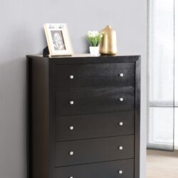 Modern Elegant Transitional Storage Chest - Black