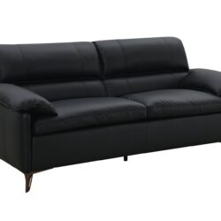 Eilene - Top Grain Leather Loveseat - Black