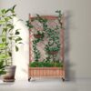 Raised Garden Bed With Trellis 2 Pack, Outdoor Planter Box & Plant Stand With Climbing Racks - Brown - Image 5