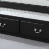 Bailee - Twin Daybed - Black - Image 4