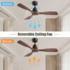 48" Ceiling Fan Without Light, 3 Solid Wood Blades Outdoor Ceiling Fan 6 - Speed Reversible DC Motor For Living Room - Black - Image 5