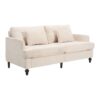 Mid Century Modern Chenille Fabric Loveseat Sofa With Brown Wood Feet, 2 Seat Upholstered Couch For Living Room And Bedroom - Beige - Image 15