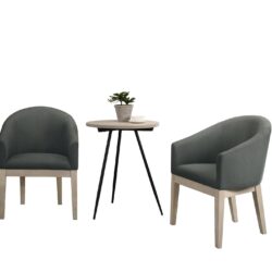 Neroli - Fabric Accent Chairs And Side Table Living Room (Set of 3) - Gray