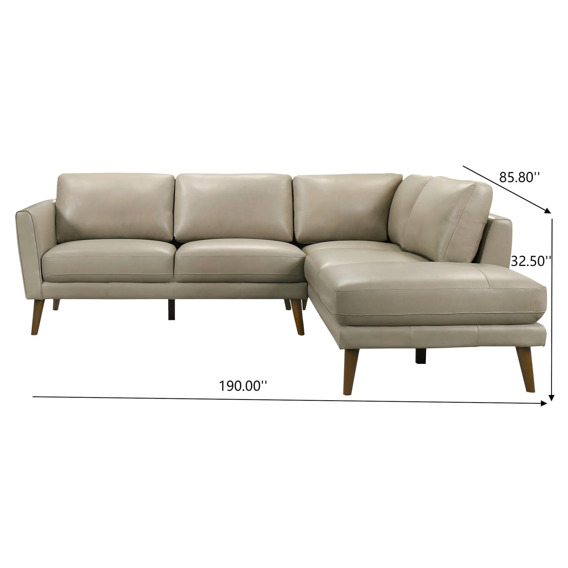 Benson - Sectional Sofa Right Facing Chaise - Beige - Image 3